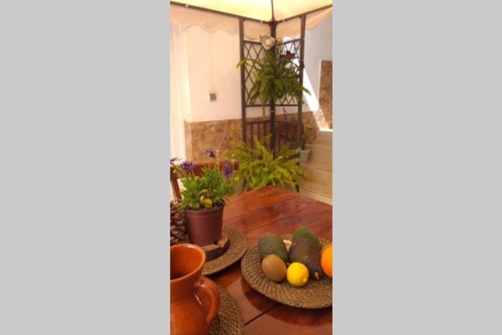 La Vega R. Apartment *